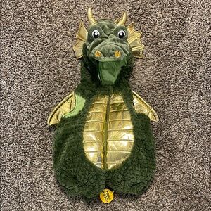 Playful Green and Gold Halloween Dragon Costume